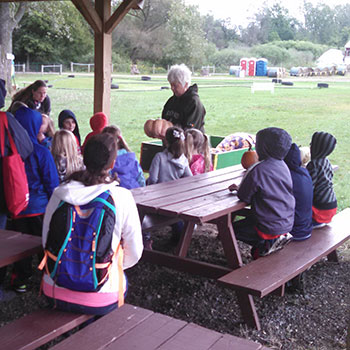 Here's the 6th grade class, 2005, at Knollbrook Farm in Goshen, Indiana