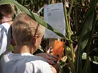 Each navigation post has particular clues the scavengers must learn to find all 12 secrets at Knollbrook Farm in Goshen, Indiana